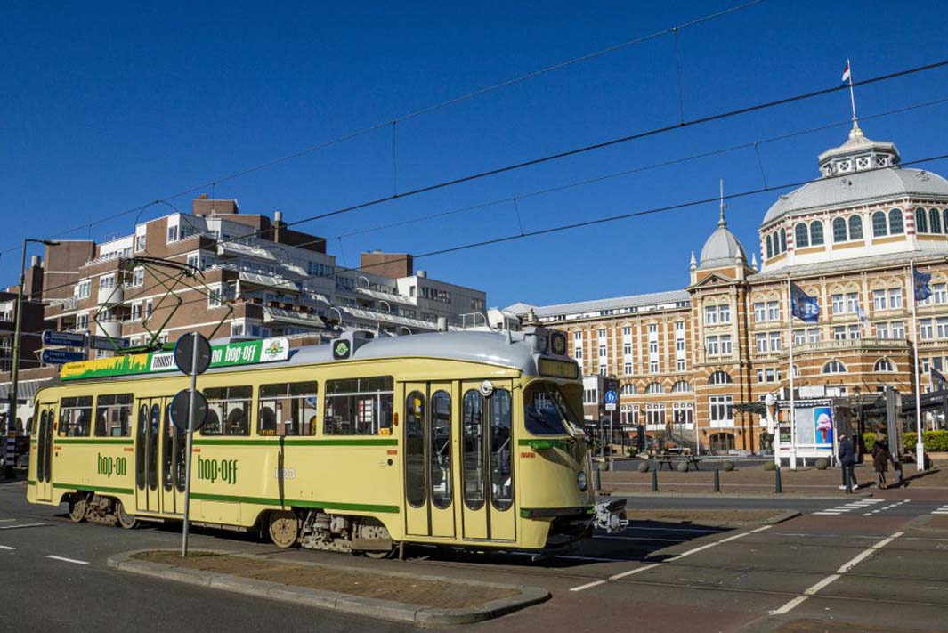 Een Dag in Den Haag: Van Vredespaleis tot Madurodam en Scheveningen