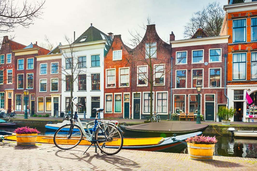 Een Reis door Wetenschap en Cultuur: Ontdekkingen in Leiden Musea